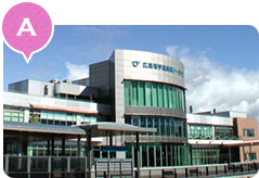 A Hiroshima Port, Ujina Passenger Terminal